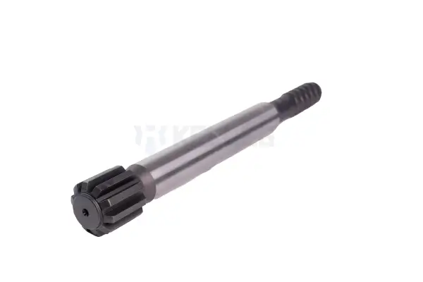 shank