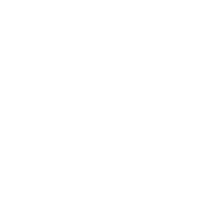 icon 12.png
