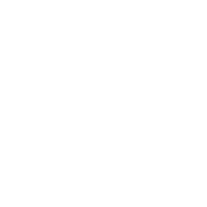 icon 13.png