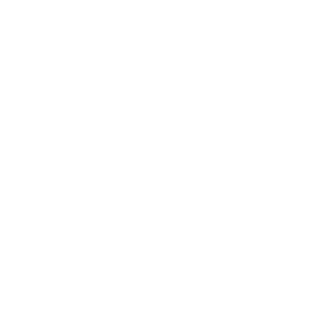 icon 4.png